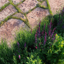 Load image into Gallery viewer, Öland rød