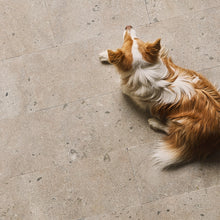 Load image into Gallery viewer, Hoburg kalkstein slipt